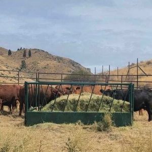 Big Bale Feeder – 10’ Long x 4’ Wide x 54” Tall