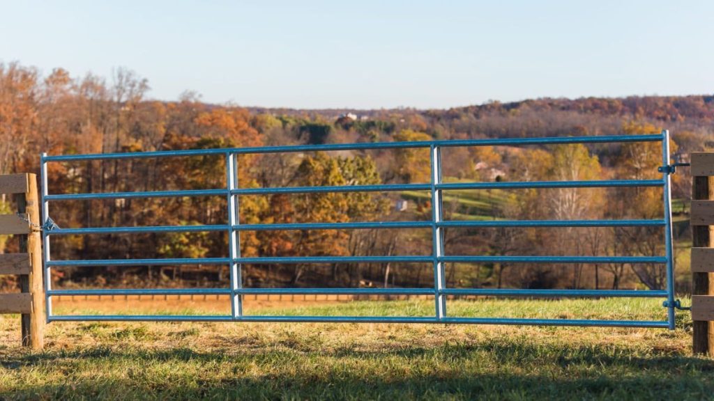 Tips for Installing Farm Gate Hinges Heavy Duty 1